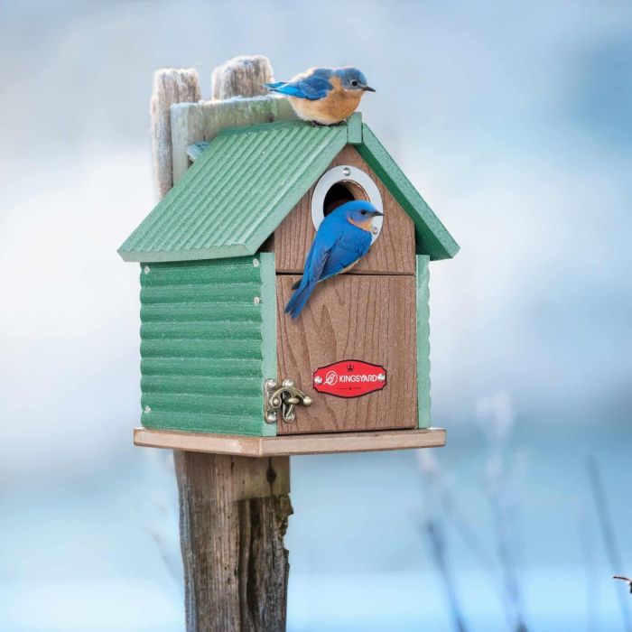 Green Kingsyard Weatherproof Wooden Bluebird House with 1.5'' Hole 1