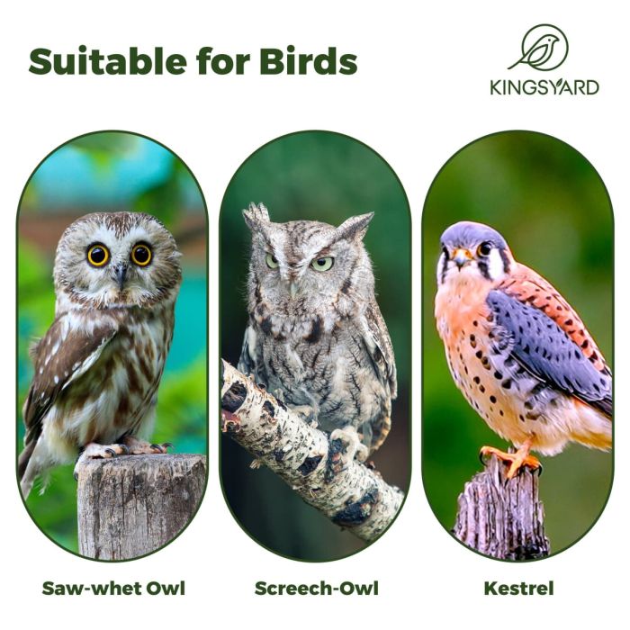 Kingsyard Weatherproof Owl House Outdoor Nesting Box 12