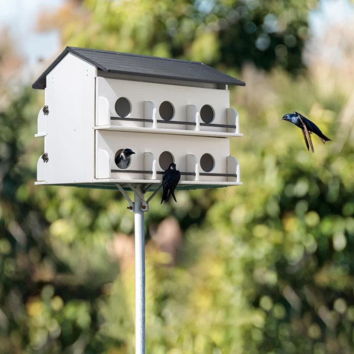 Kingsyard Pre-Assembled 12-Room Purple Martin House 1