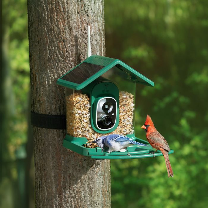 Titto Smart Bird Feeder Pro 9