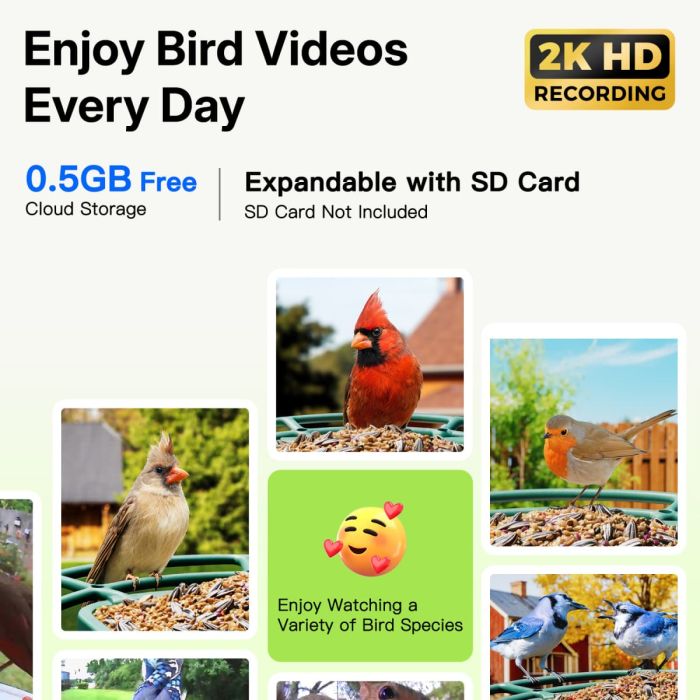 Titto Smart Bird Feeder Pro 4