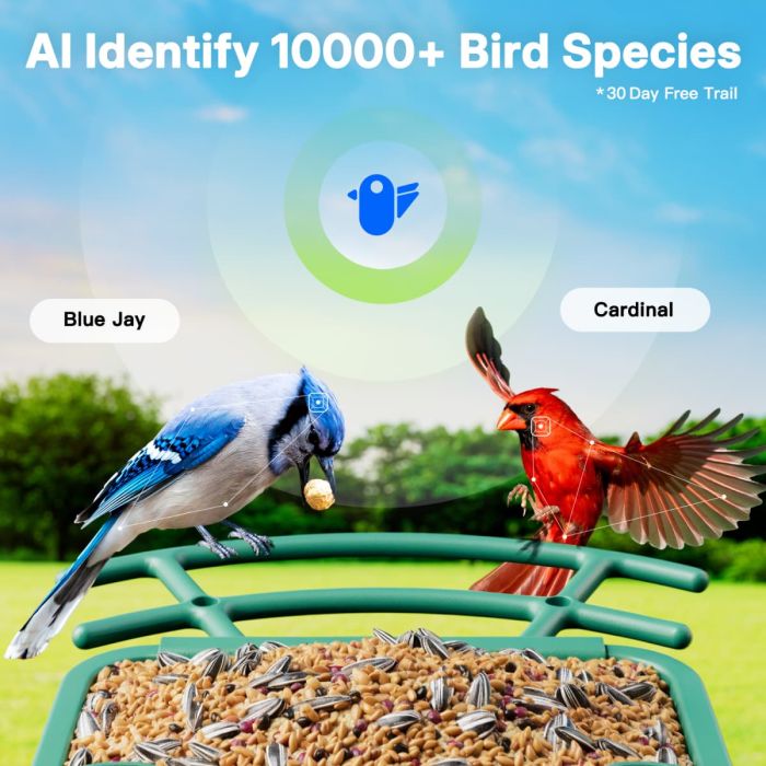 Titto Smart Bird Feeder Pro 6