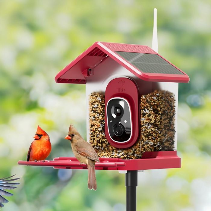 Red Titto Smart Bird Feeder Pro 1