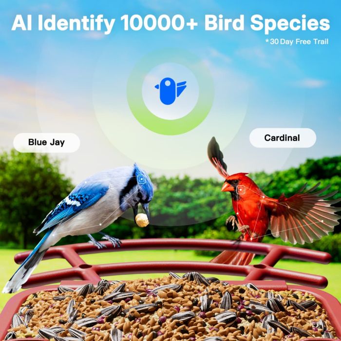 Red Titto Smart Bird Feeder Pro 6