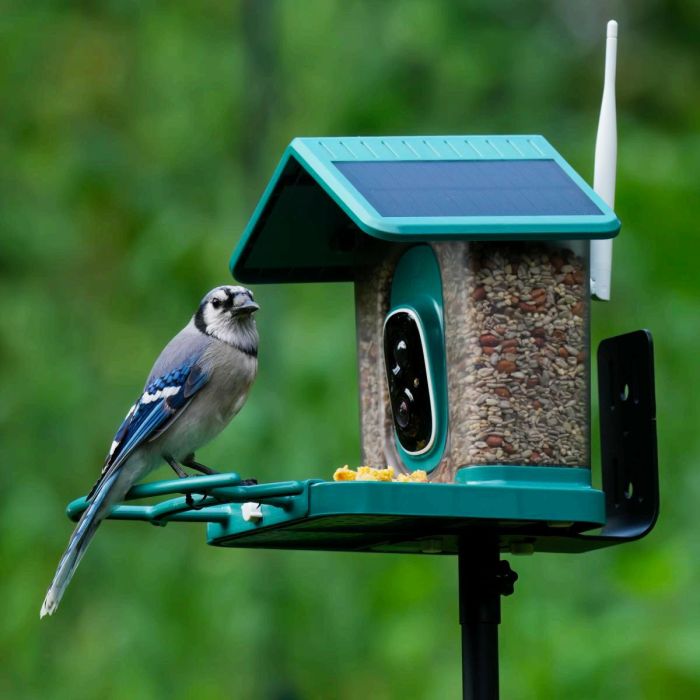 Titto Smart Bird Feeder Pro 1