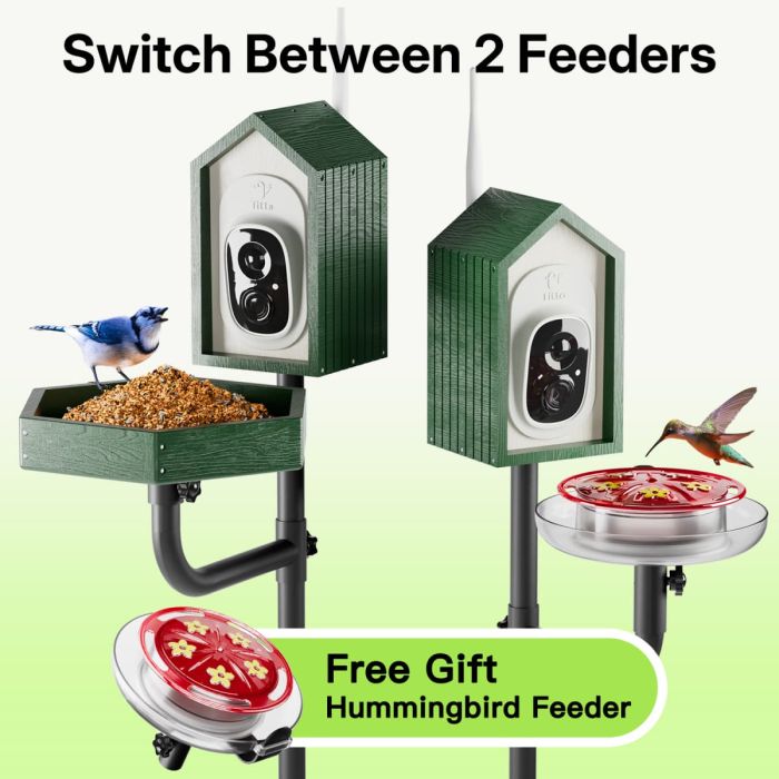 Green Titto 2 in 1 Smart Bird Feeder with Camera 5