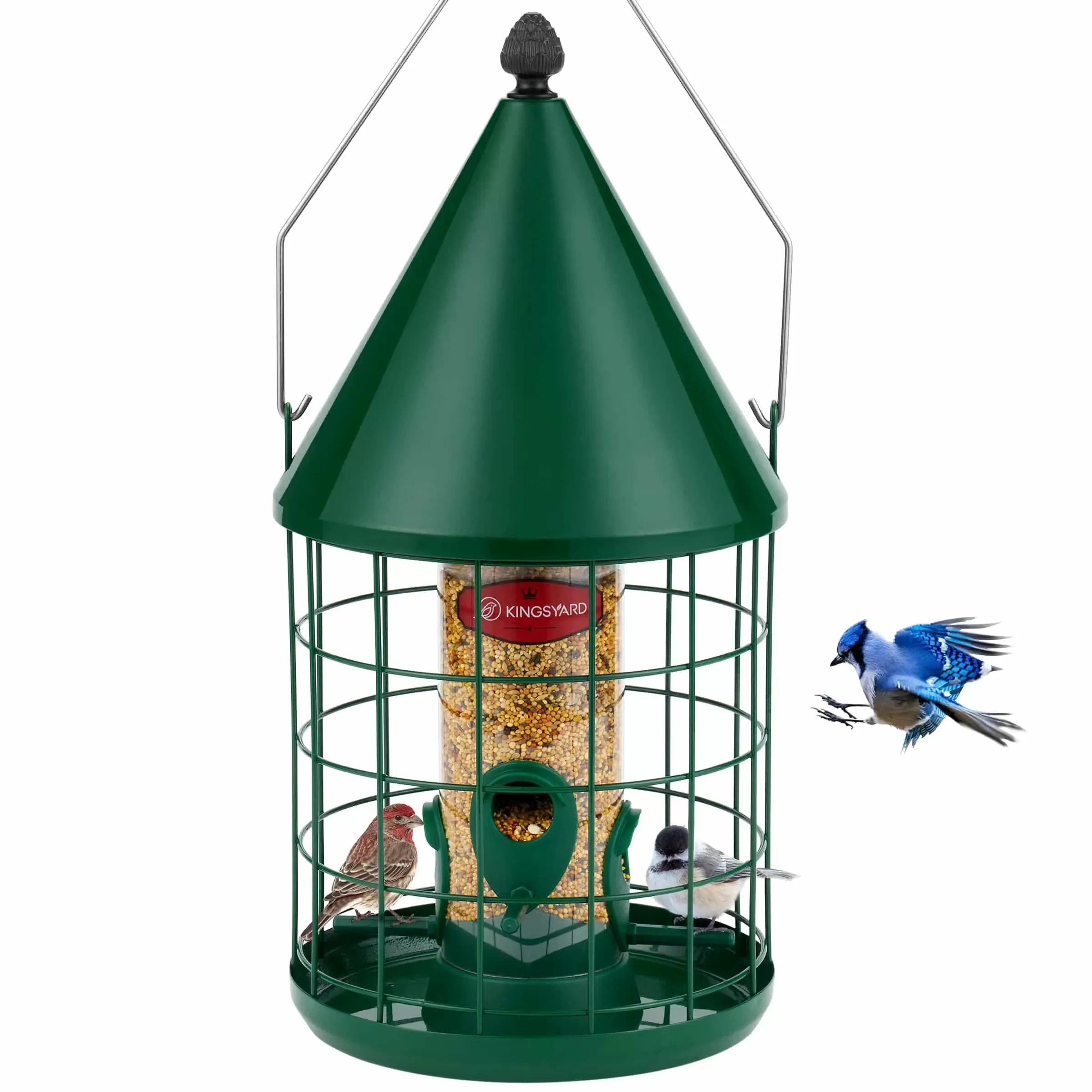 Kingsyard Caged Squirrel Proof Tube Bird Feeder with Rainproof Dome