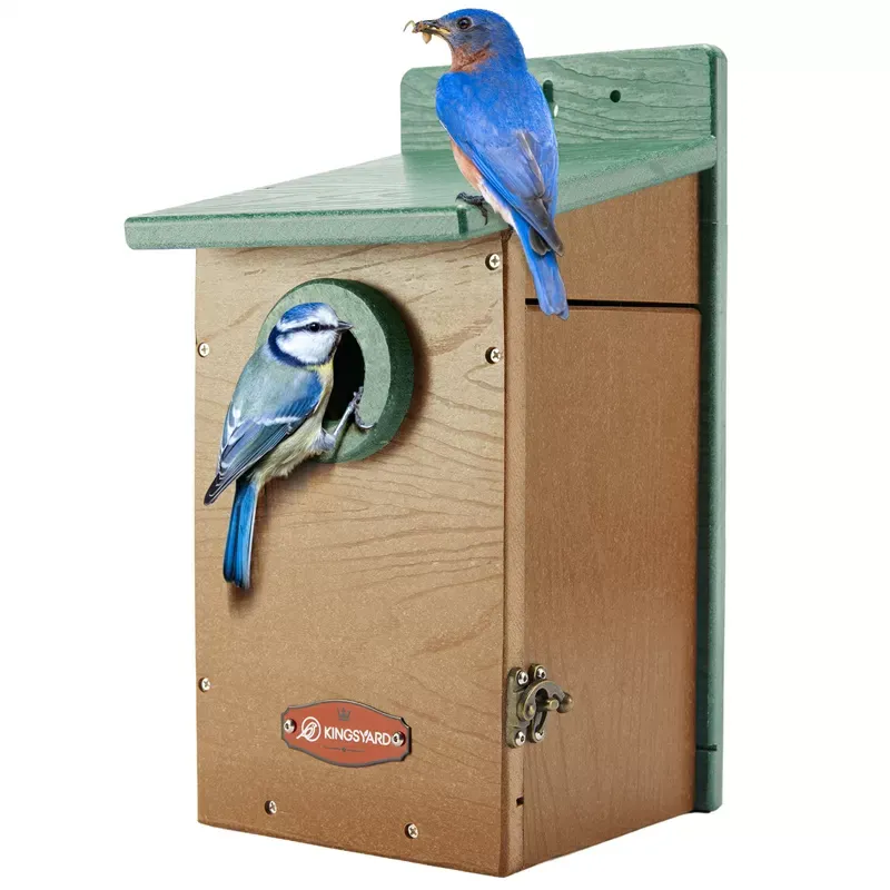 Kingsyard Recycled Plastic Bluebird House with 1.5'' Hole