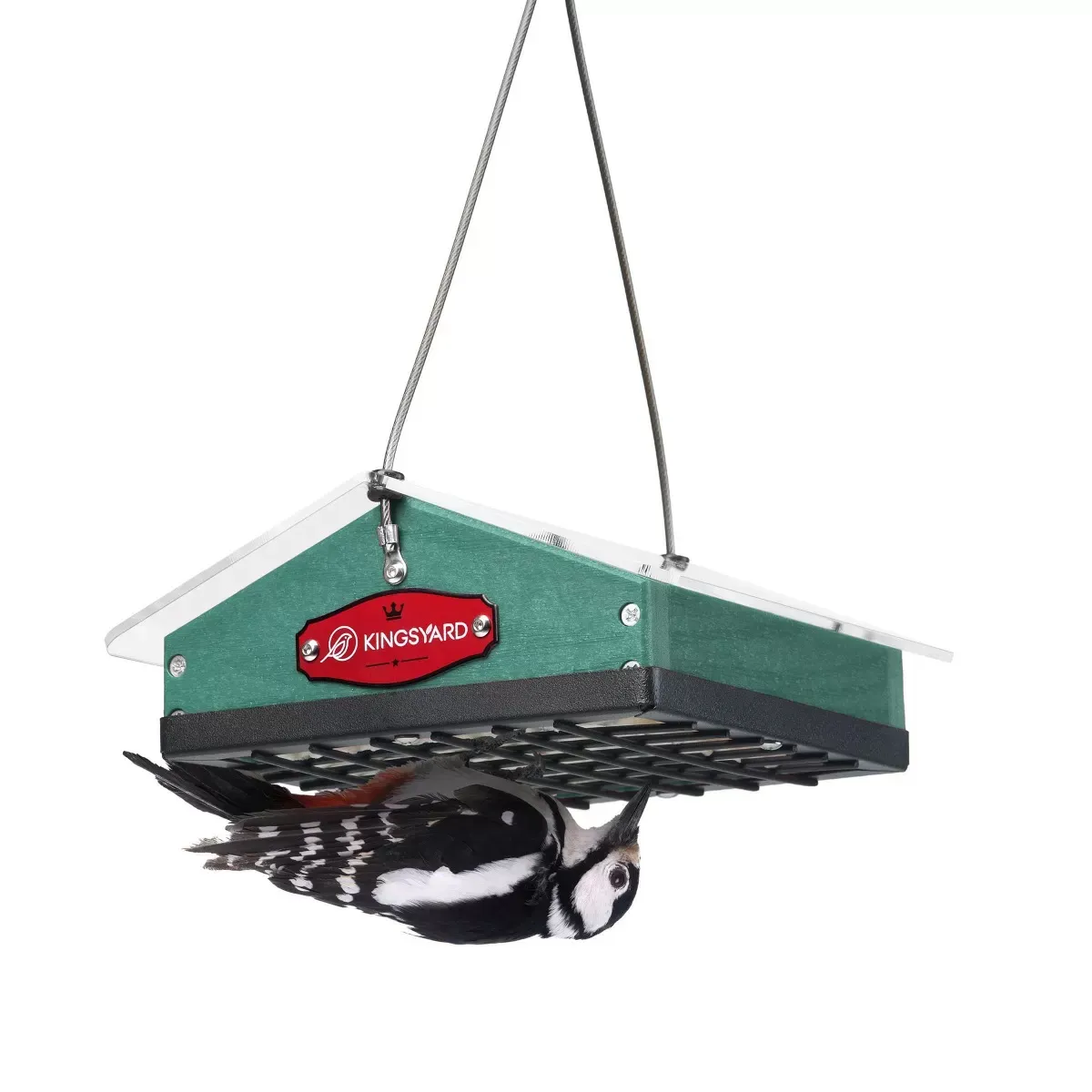 Kingsyard Upside Down Squirrel Proof Suet Feeder