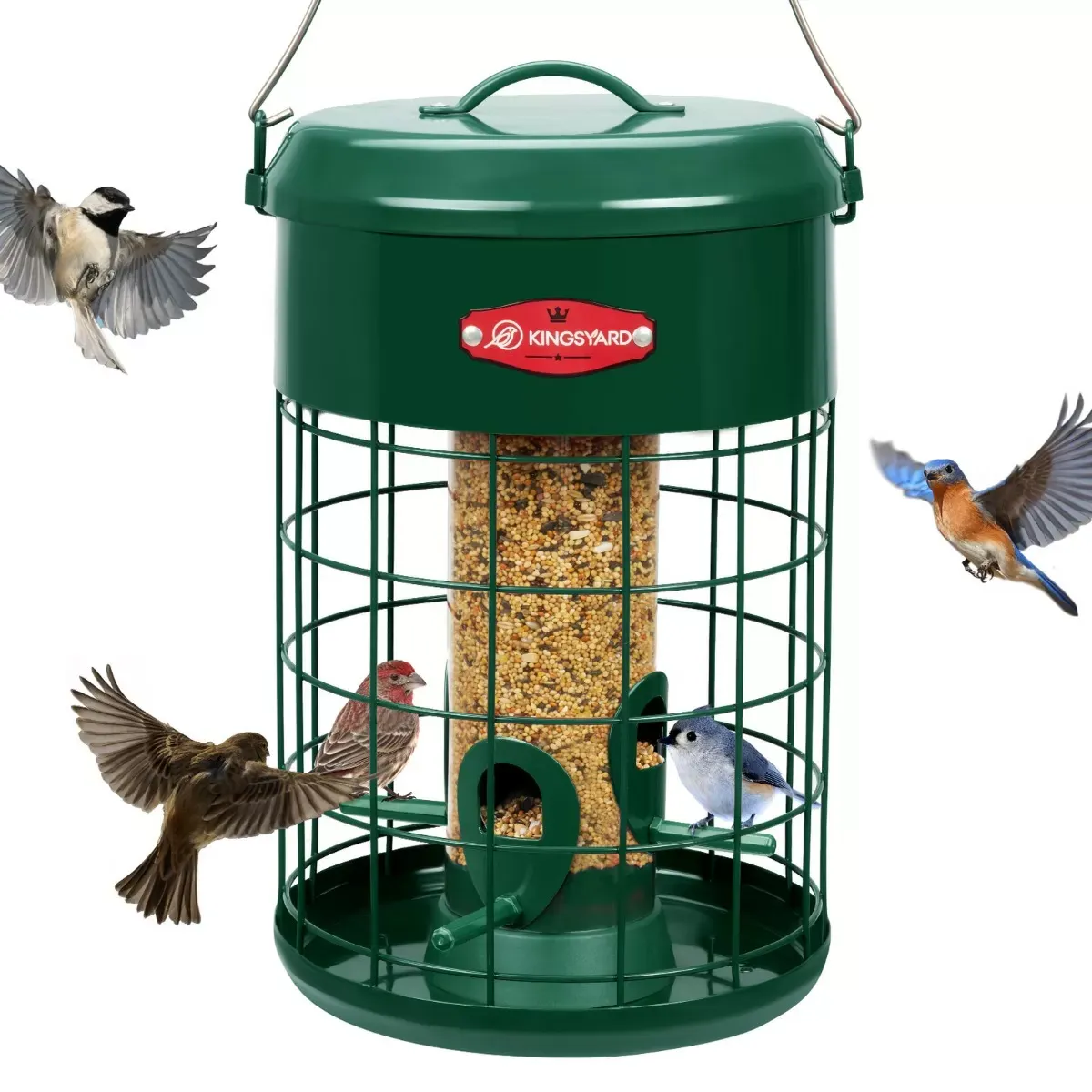 Kingsyard Caged Squirrel Proof Tube Feeder with Weatherproof Design