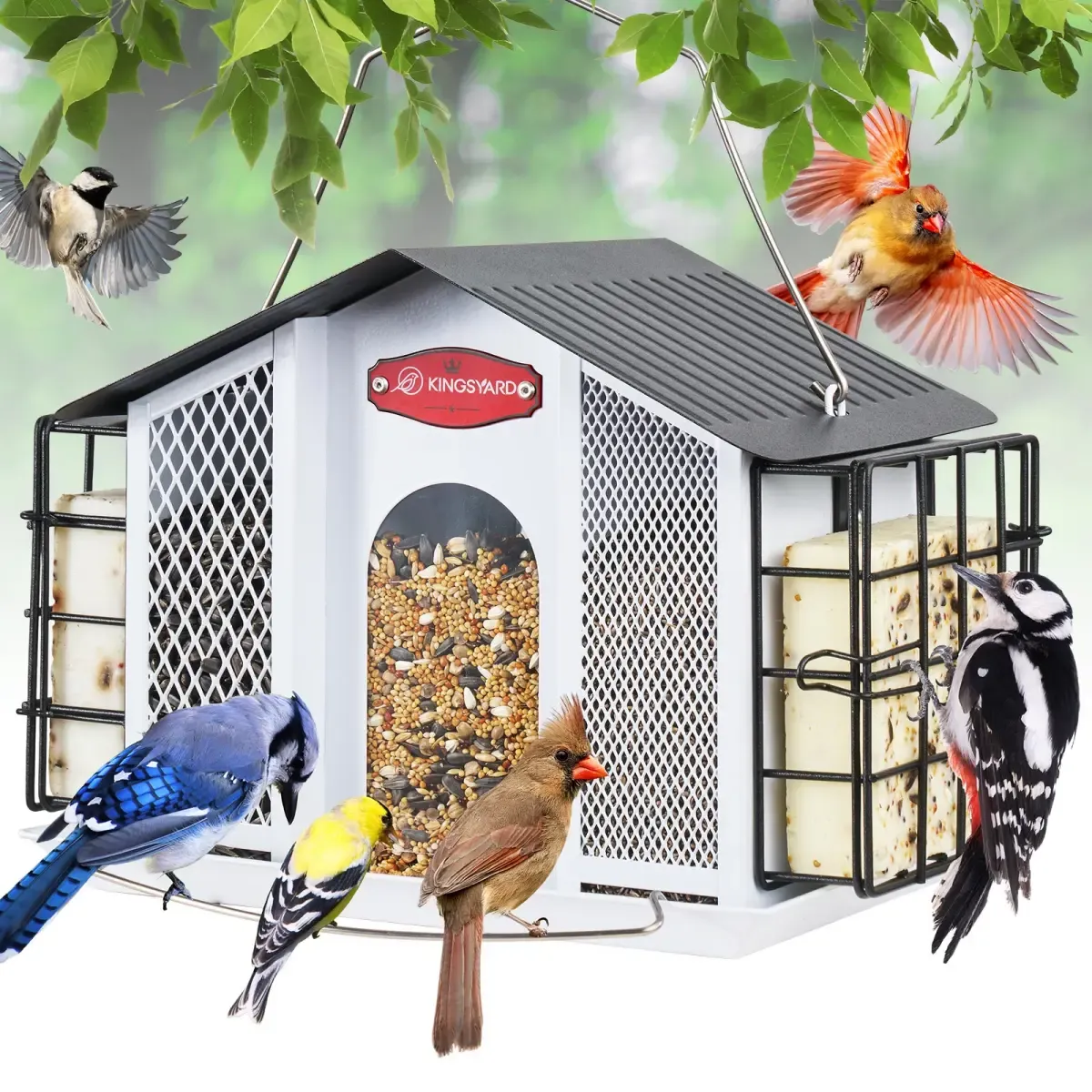 Kingsyard Weatherproof House Bird Feeder with Double Suet Cages