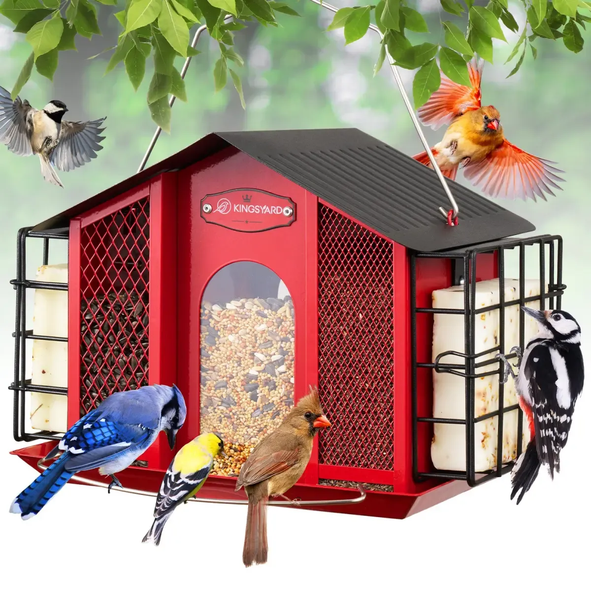 Kingsyard Weatherproof House Bird Feeder with Double Suet Cages