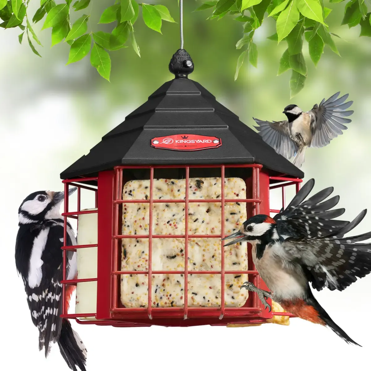 Kingsyard Metal Suet Bird Feeder with 3 Suet Cages