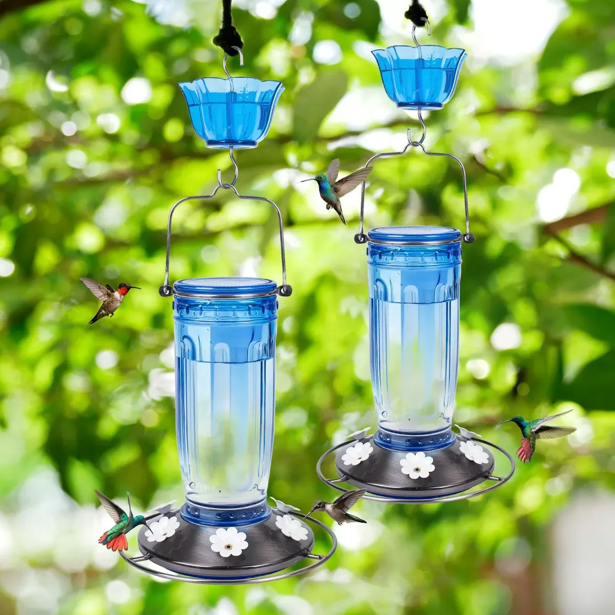 Blue Kingsyard 16oz Glass Hummingbird Feeder With Ant Moat 1 Blue Kingsyard 16oz Glass Hummingbird Feeder With Ant Moat 1