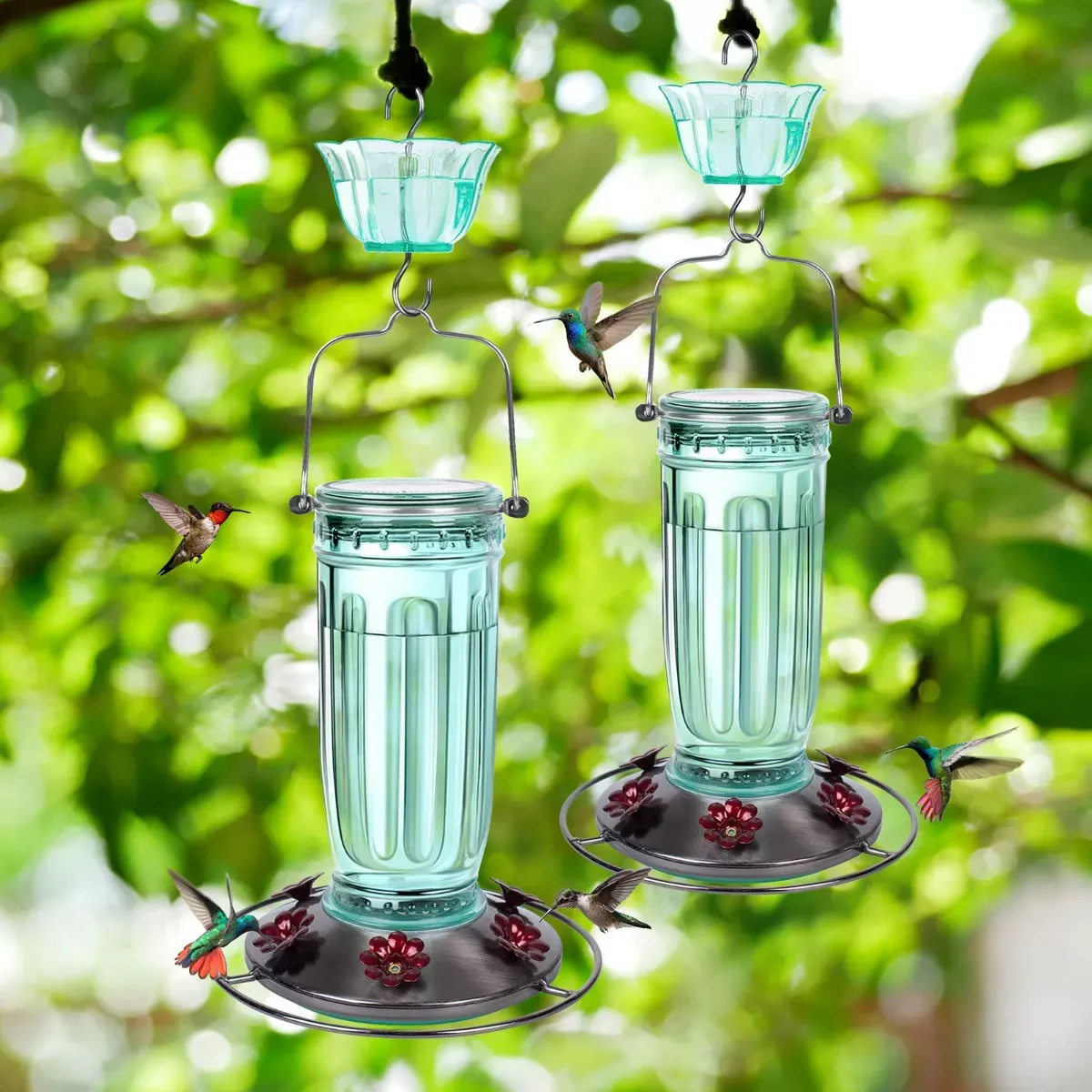 Green Kingsyard 16oz Glass Hummingbird Feeder With Ant Moat 1 Green Kingsyard 16oz Glass Hummingbird Feeder With Ant Moat 1