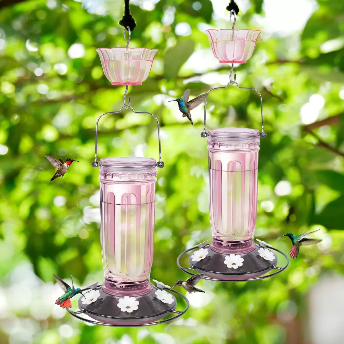 Pink Kingsyard 16oz Glass Hummingbird Feeder With Ant Moat 1 Pink Kingsyard 16oz Glass Hummingbird Feeder With Ant Moat 1