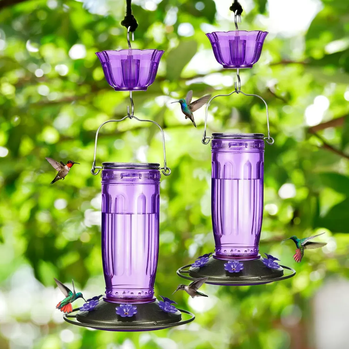 Purple Kingsyard 16oz Glass Hummingbird Feeder With Ant Moat 1 Purple Kingsyard 16oz Glass Hummingbird Feeder With Ant Moat 1