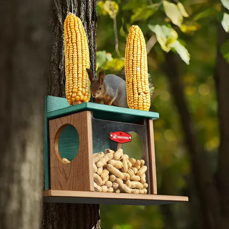Green Kingsyard Large Capacity Squirrel Feeder Box with Double Corn Cob 1
