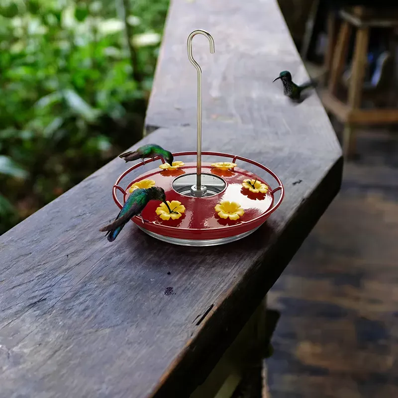 Kingsyard 12oz Tray Hummingbird Feeder With Ant Moat 11 Kingsyard 12oz Tray Hummingbird Feeder With Ant Moat 11