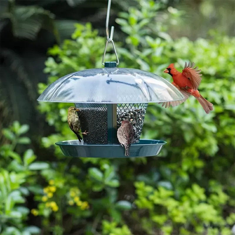 Kingsyard Dual-Use Metal Mesh Wild Bird Feeder with Weatherproof Dome 8