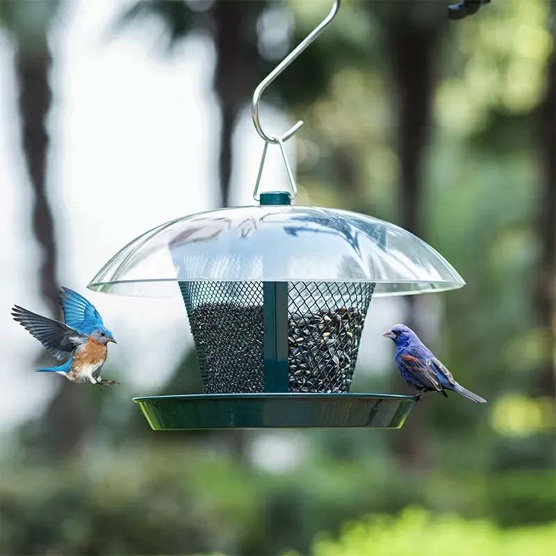 Dark Green Kingsyard Dual-Use Metal Mesh Wild Bird Feeder with Weatherproof Dome 6