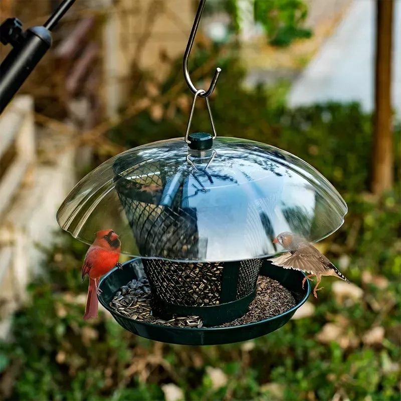 Dark Green Kingsyard Dual-Use Metal Mesh Wild Bird Feeder with Weatherproof Dome 8