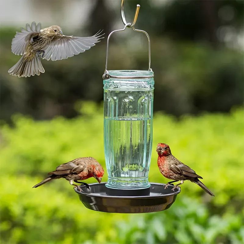 Kingsyard Glass Bird Waterer for Outdoor Use