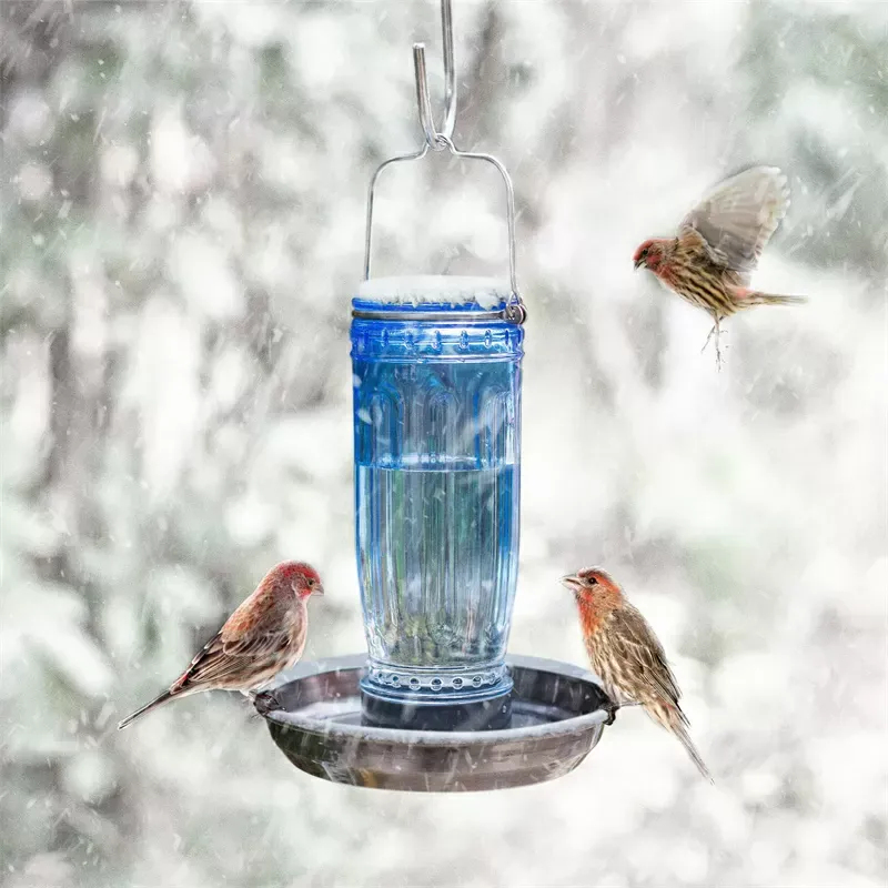 Blue Kingsyard 16oz Glass Bird Waterer for Outdoor Use 7