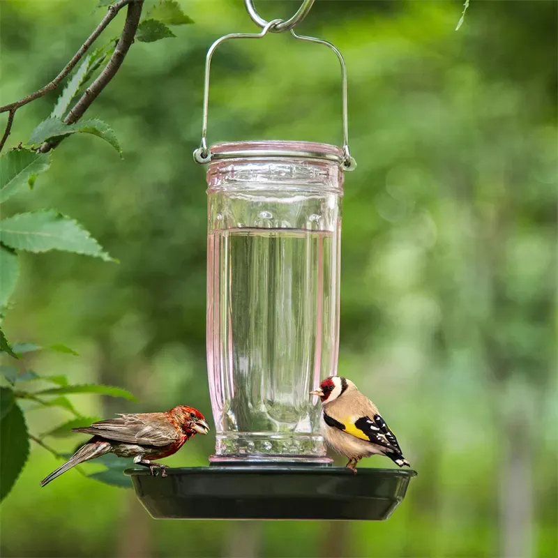 Pink Kingsyard 16oz Glass Bird Waterer for Outdoor Use 8