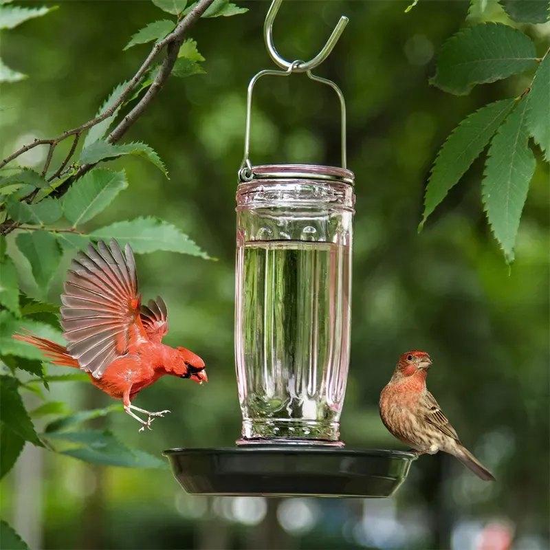 Pink Kingsyard 16oz Glass Bird Waterer for Outdoor Use 7