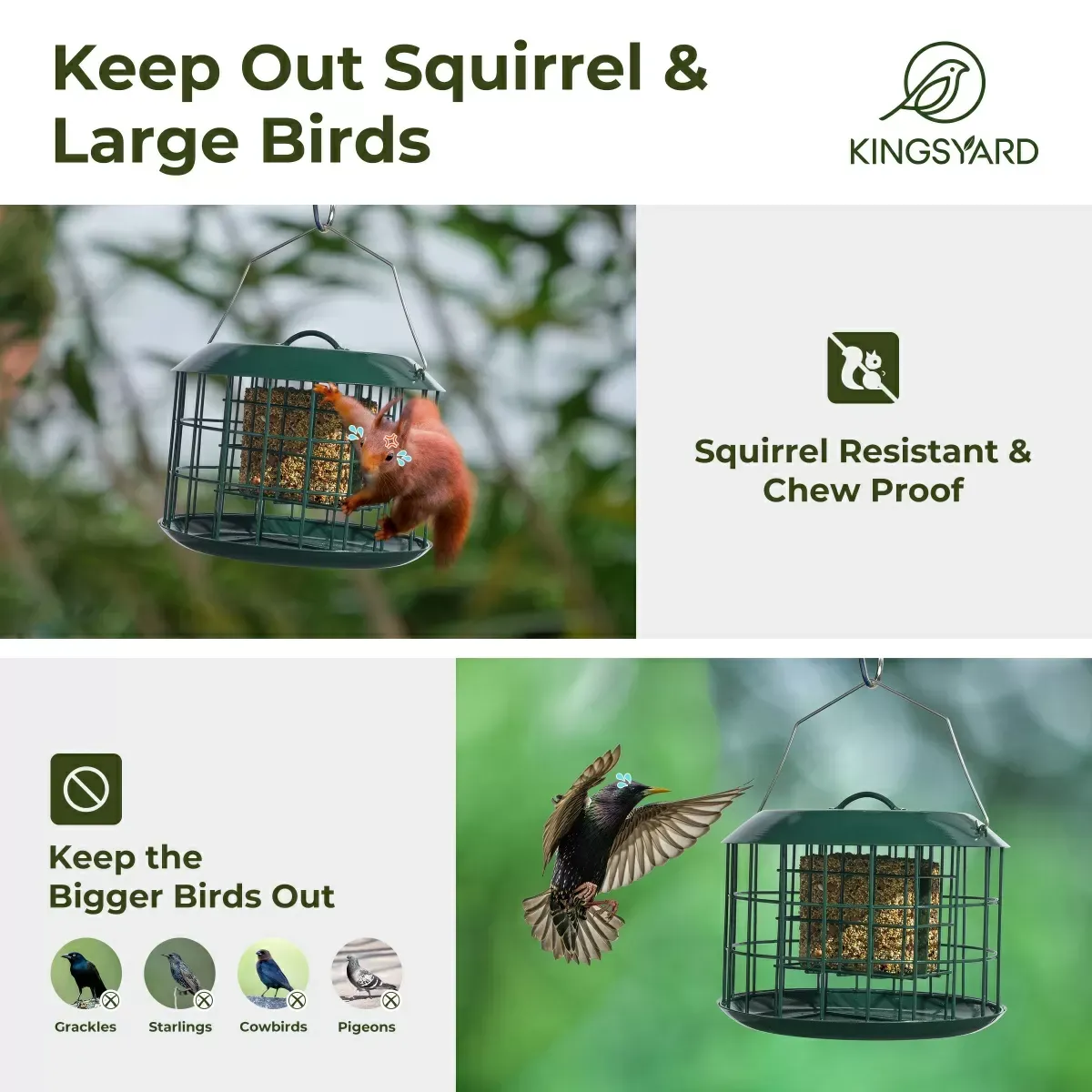 Kingsyard Metal Caged Squirrel Proof Suet Feeder 6 Kingsyard Metal Caged Squirrel Proof Suet Feeder 6