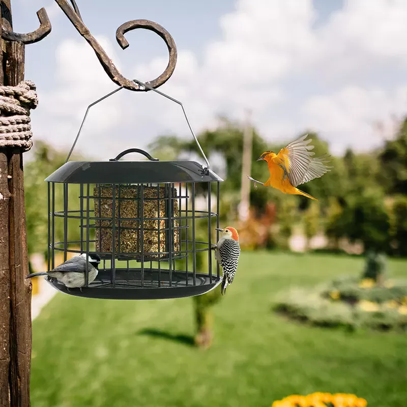 Black Kingsyard Metal Caged Squirrel Proof Suet Feeder 7