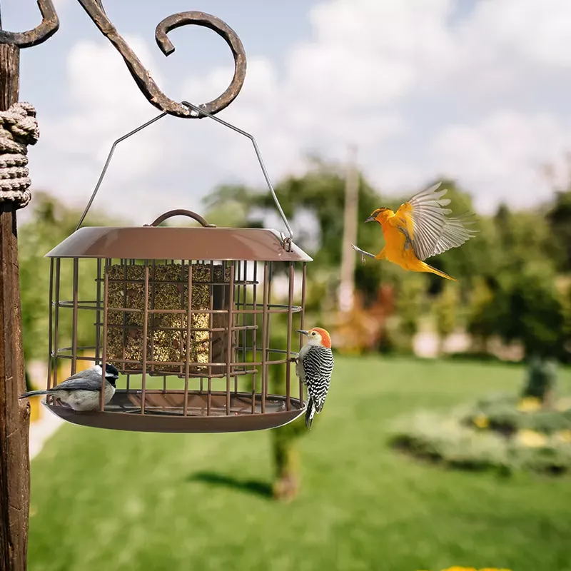 Brown Kingsyard Metal Caged Squirrel Proof Suet Feeder 7 Brown Kingsyard Metal Caged Squirrel Proof Suet Feeder 7