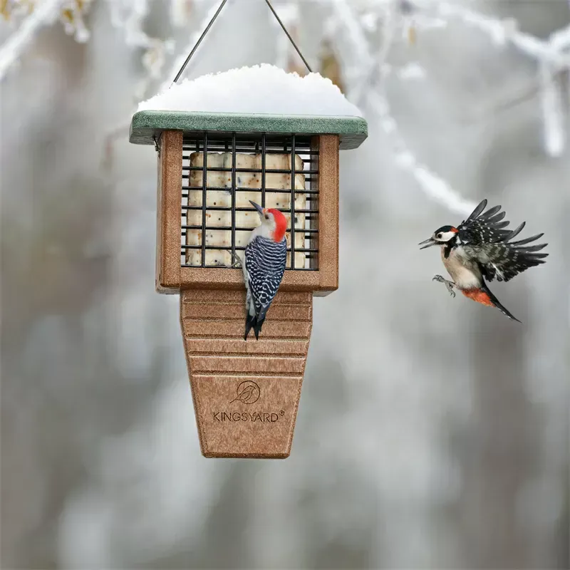 Green Kingsyard Tail Prop Suet Feeder for Woodpeckers 9