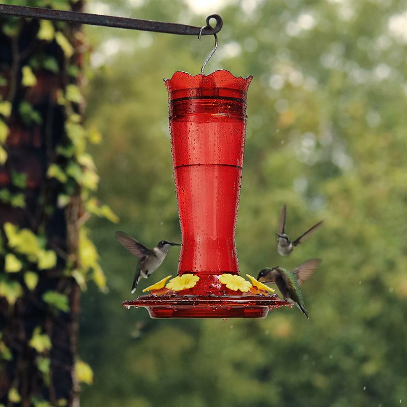 Kingsyard 14oz Glass Hummingbird Feeder with Bee Proof & Ant Moat
