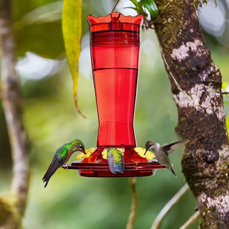 Kingsyard 14oz Glass Hummingbird Feeder with Bee Proof & Ant Moat 3