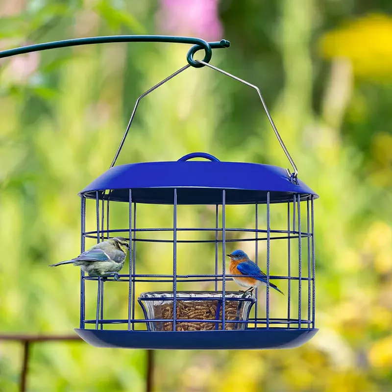 Kingsyard Metal Caged Squirrel Proof Bluebird Feeders 6