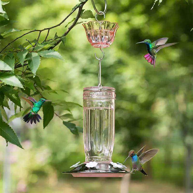 Pink Kingsyard 2-Pack Ant Moat for Hummingbird Feeders 7