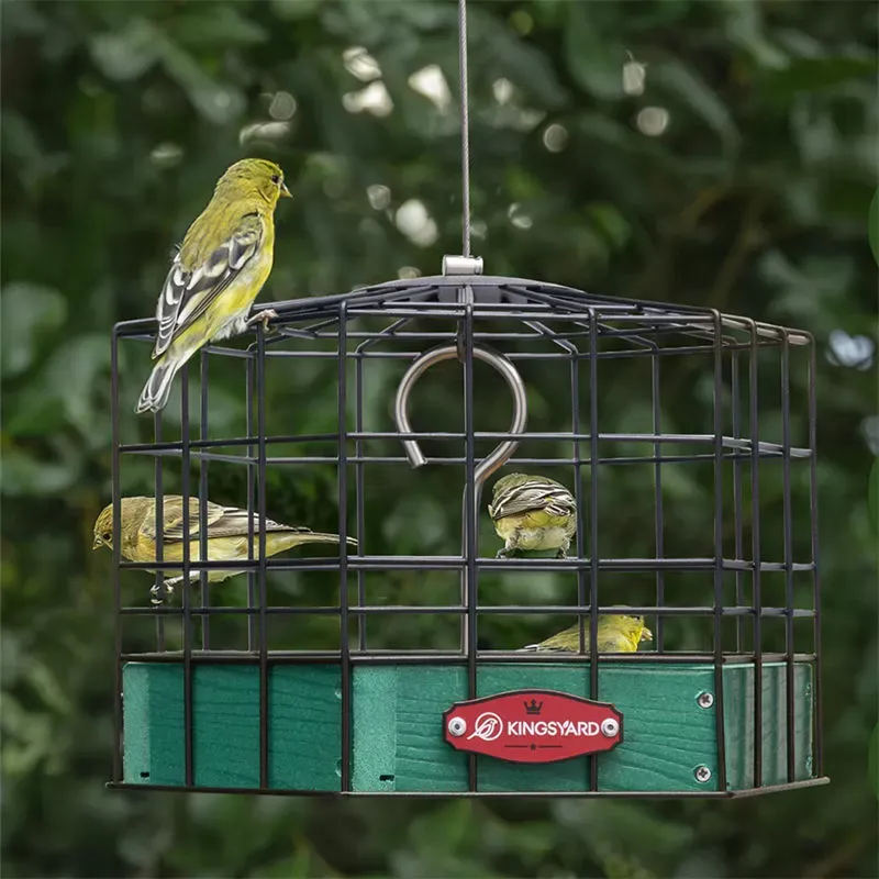 Green Kingsyard Squirrel-Proof Platform Hanging Bird Feeder 7