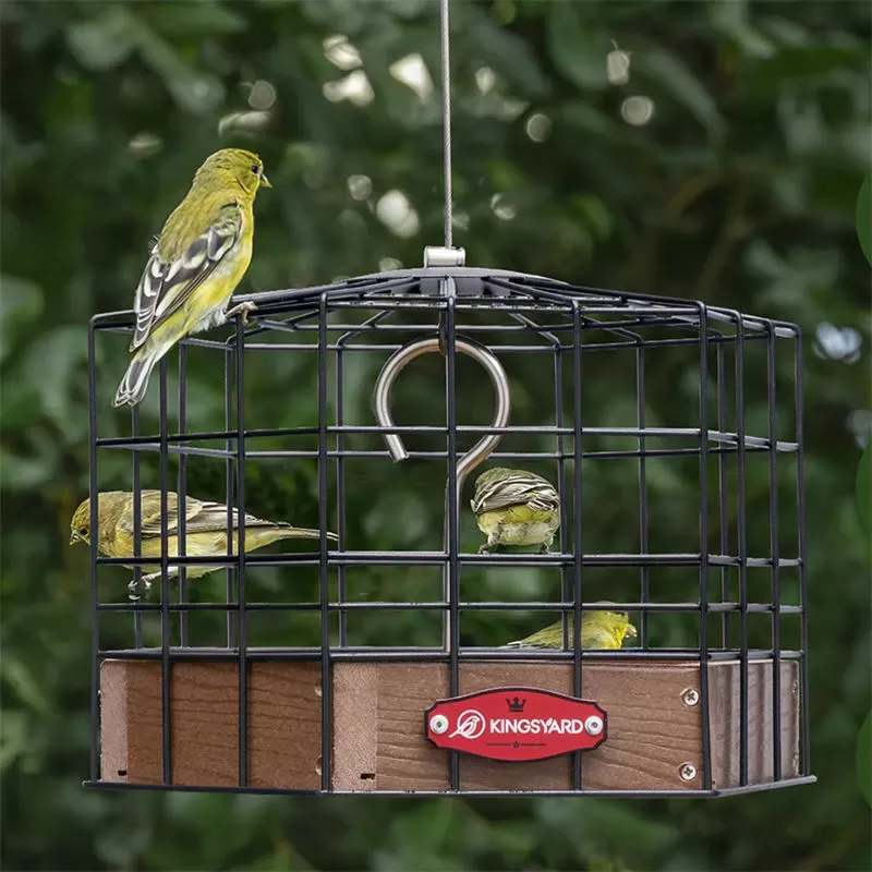 Brown Kingsyard Squirrel-Proof Platform Hanging Bird Feeder 7