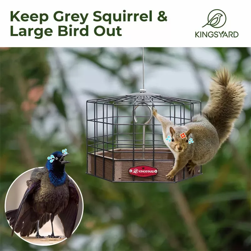 Brown Kingsyard Squirrel-Proof Platform Hanging Bird Feeder 6