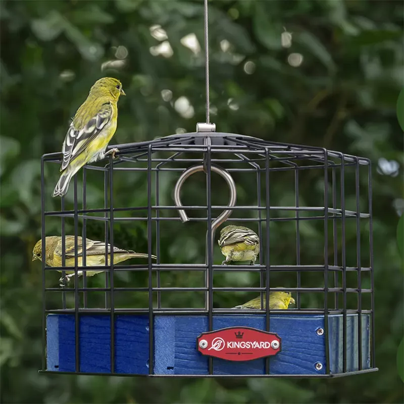 Blue Kingsyard Squirrel-Proof Platform Hanging Bird Feeder 7