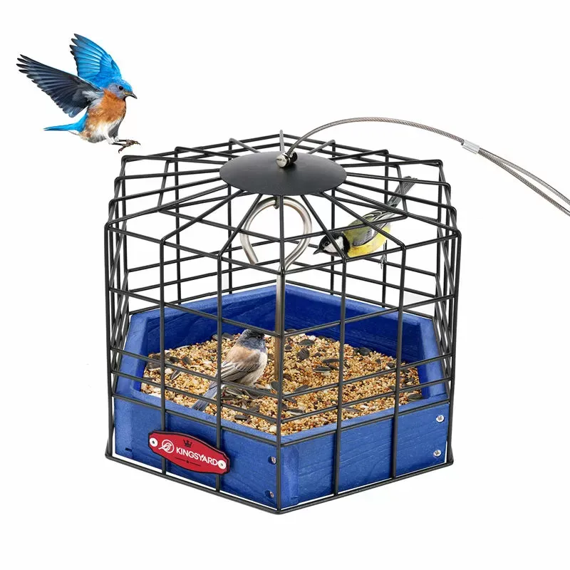 Blue Kingsyard Squirrel-Proof Platform Hanging Bird Feeder 2
