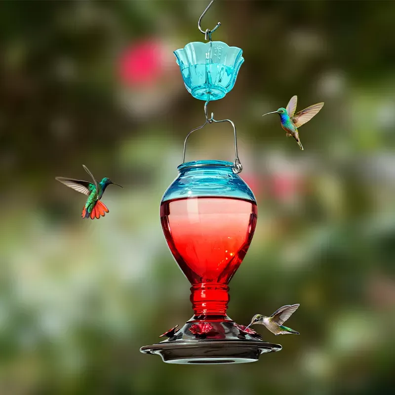 Red & Blue Kingsyard 24oz Leak Proof Glass Hummingbird Feeder with Ant Moat 1 Red & Blue Kingsyard 24oz Leak Proof Glass Hummingbird Feeder with Ant Moat 1