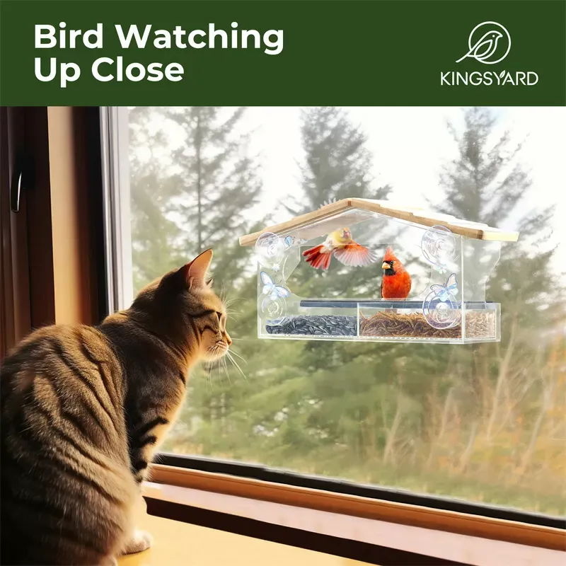 Kingsyard Window Hummingbird Feeder with Detachable Tray 7