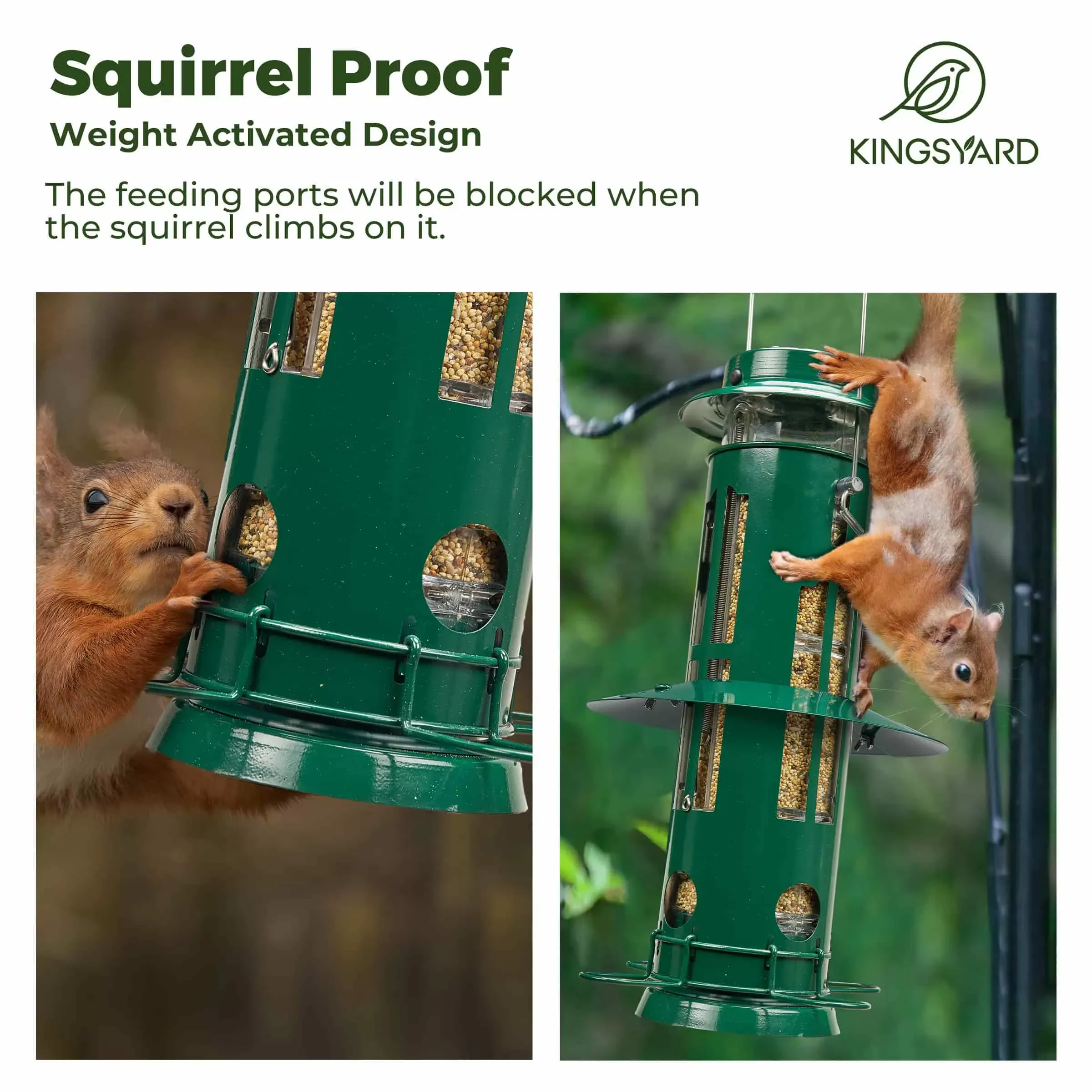 Dark Green Kingsyard Squirrel Proof Pro Bird Feeder 5