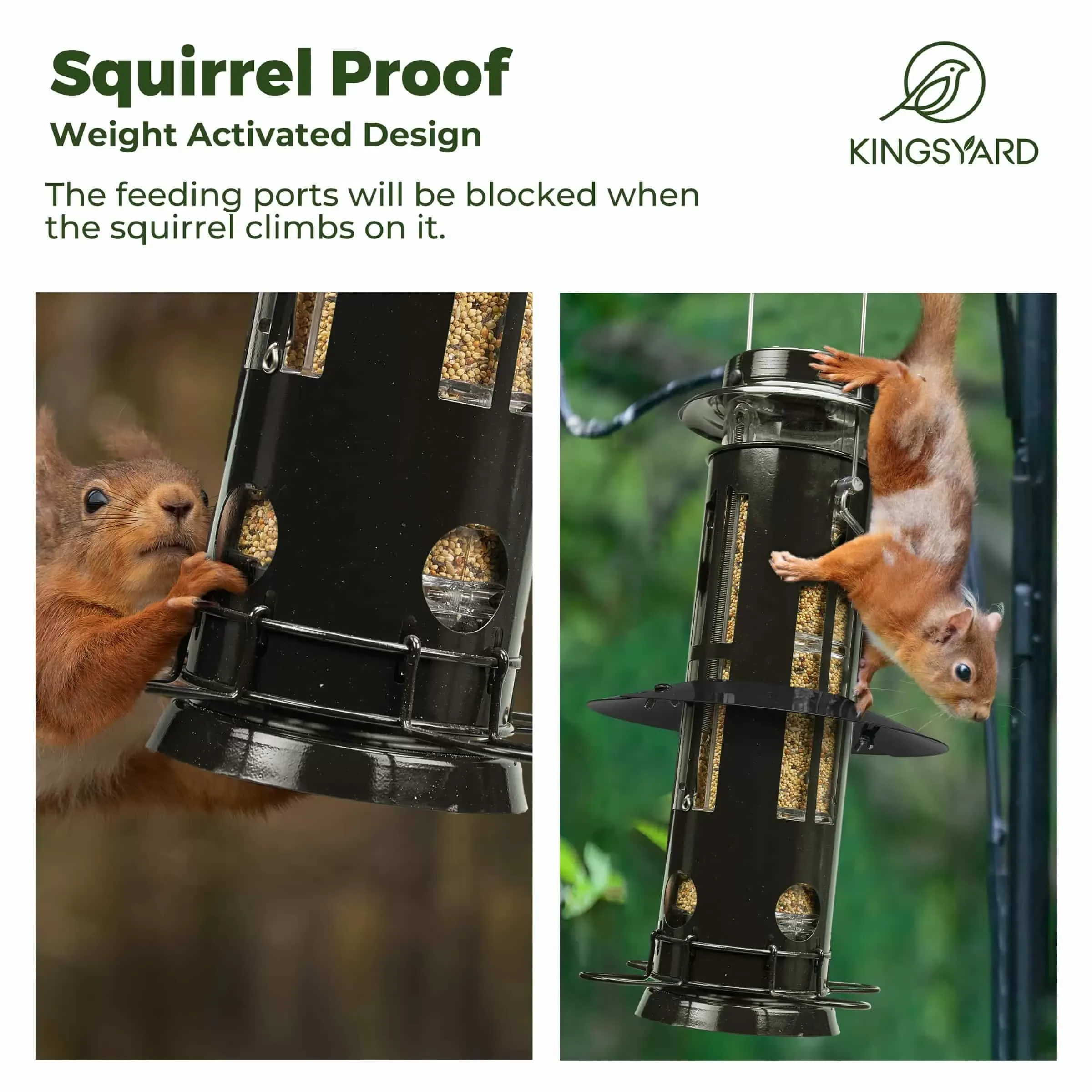 Black Kingsyard Squirrel Proof Pro Bird Feeder 5