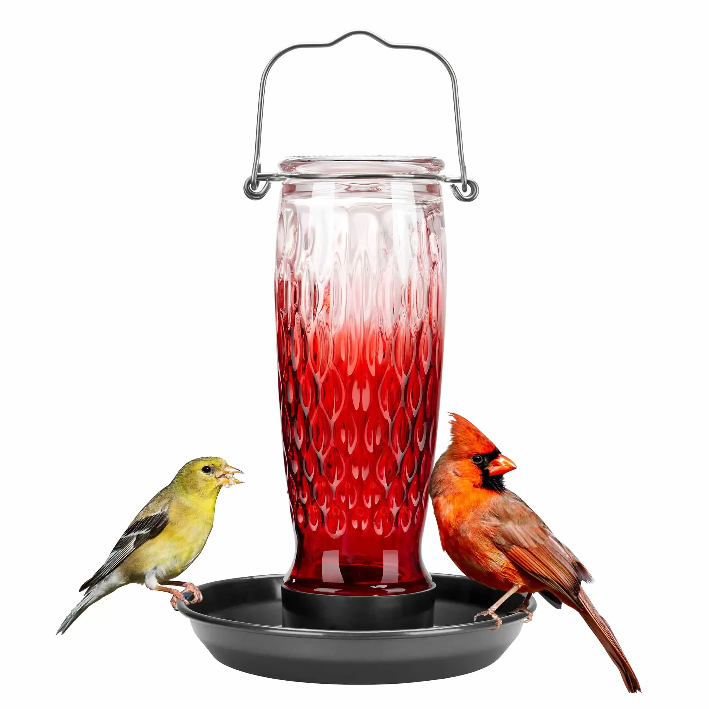 Red Gradient Kingsyard 24oz Large Capacity Glass Bird Water Feeder 2 Red Gradient Kingsyard 24oz Large Capacity Glass Bird Water Feeder 2