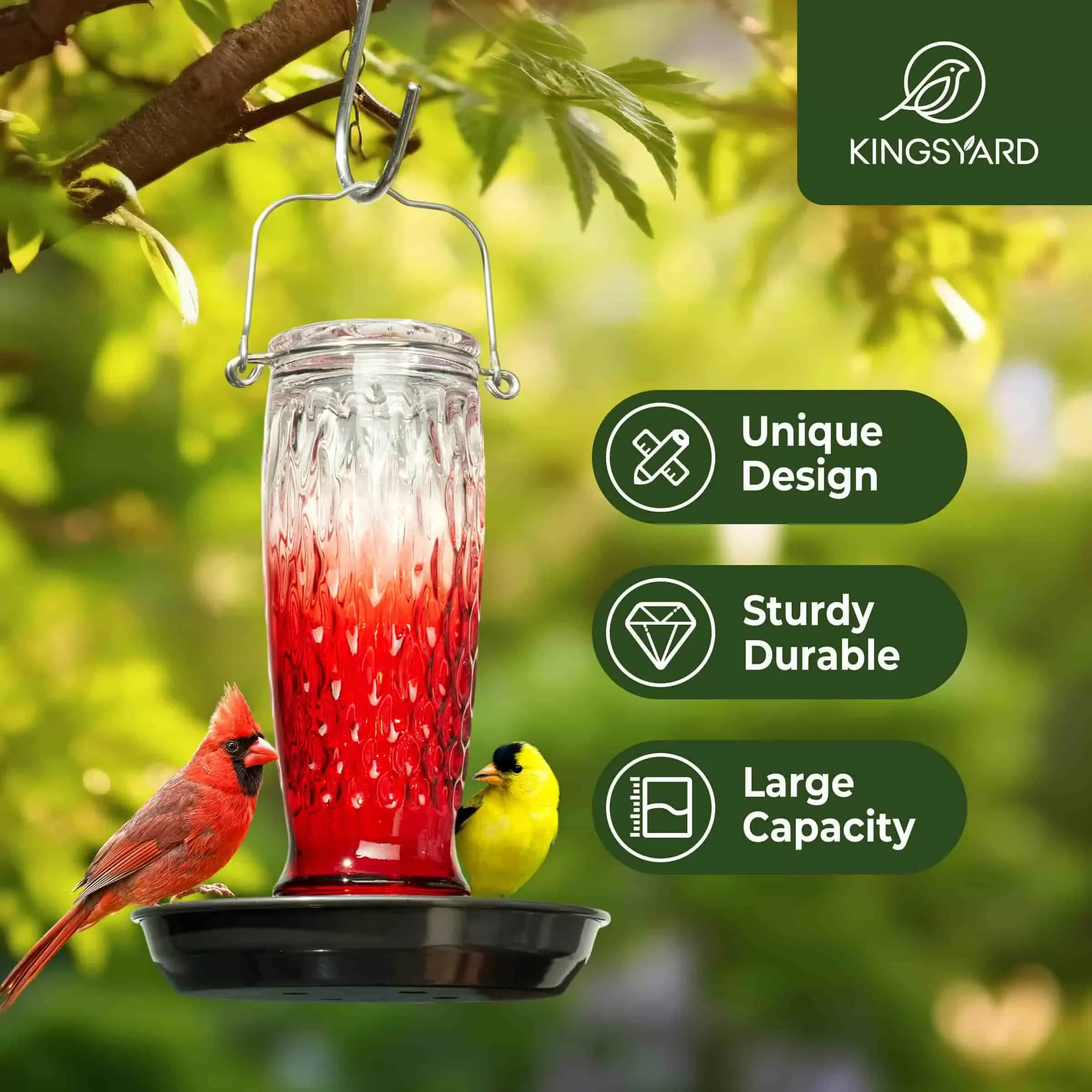 Red Gradient Kingsyard 24oz Large Capacity Glass Bird Water Feeder 6 Red Gradient Kingsyard 24oz Large Capacity Glass Bird Water Feeder 6