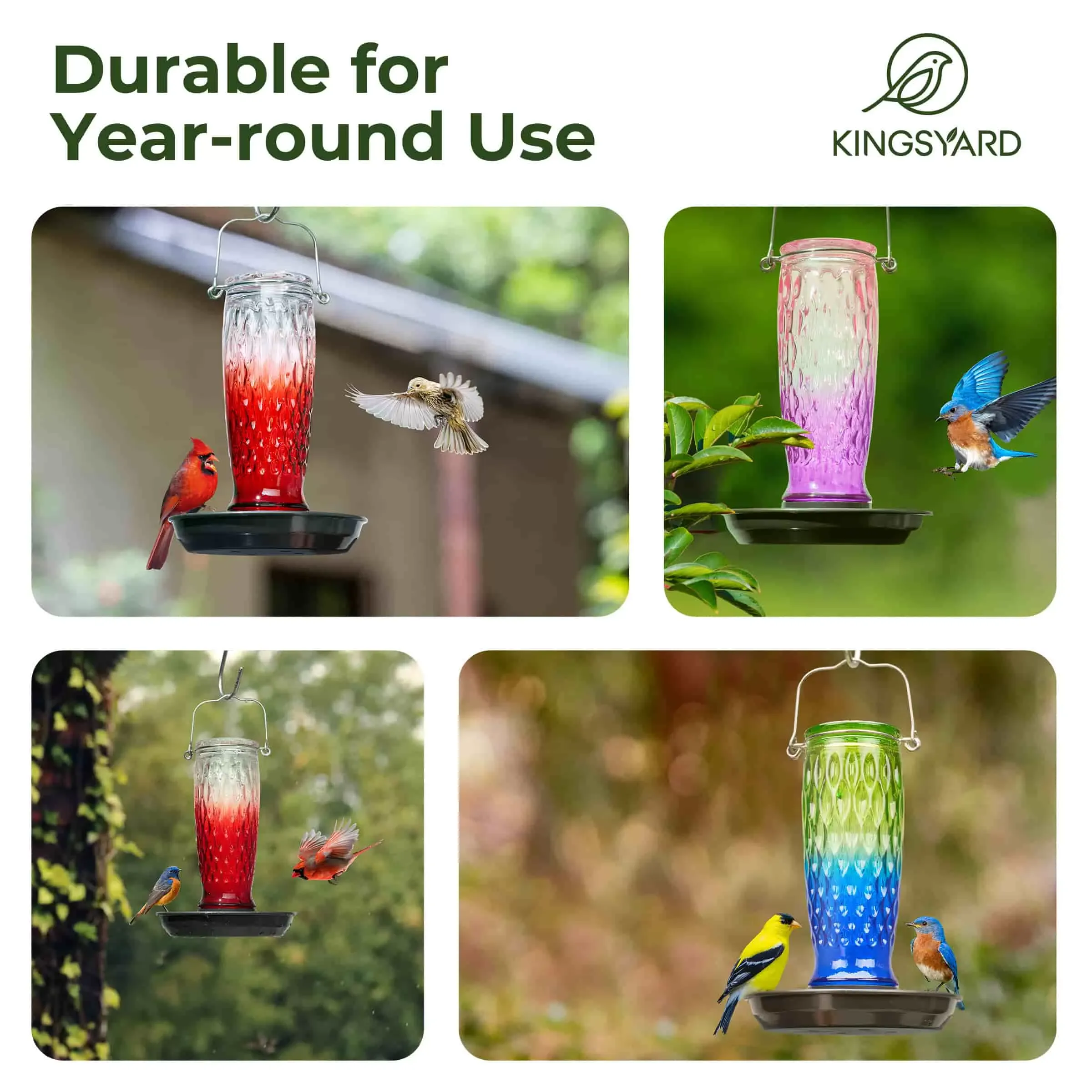Green & Blue Kingsyard 24oz Large Capacity Glass Bird Water Feeder 7